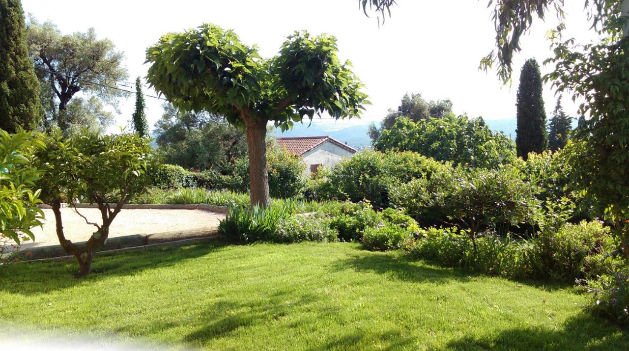 Les Collines De St Paul Bed & Breakfast Saint-Paul-de-Vence Exterior photo